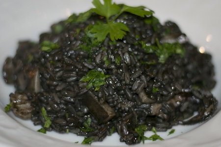 risotto,black,ink,squid,italian,food